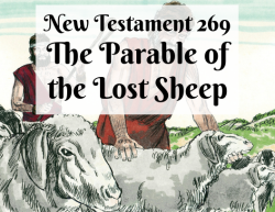 NT 269 - The Parable of the Lost Sheep